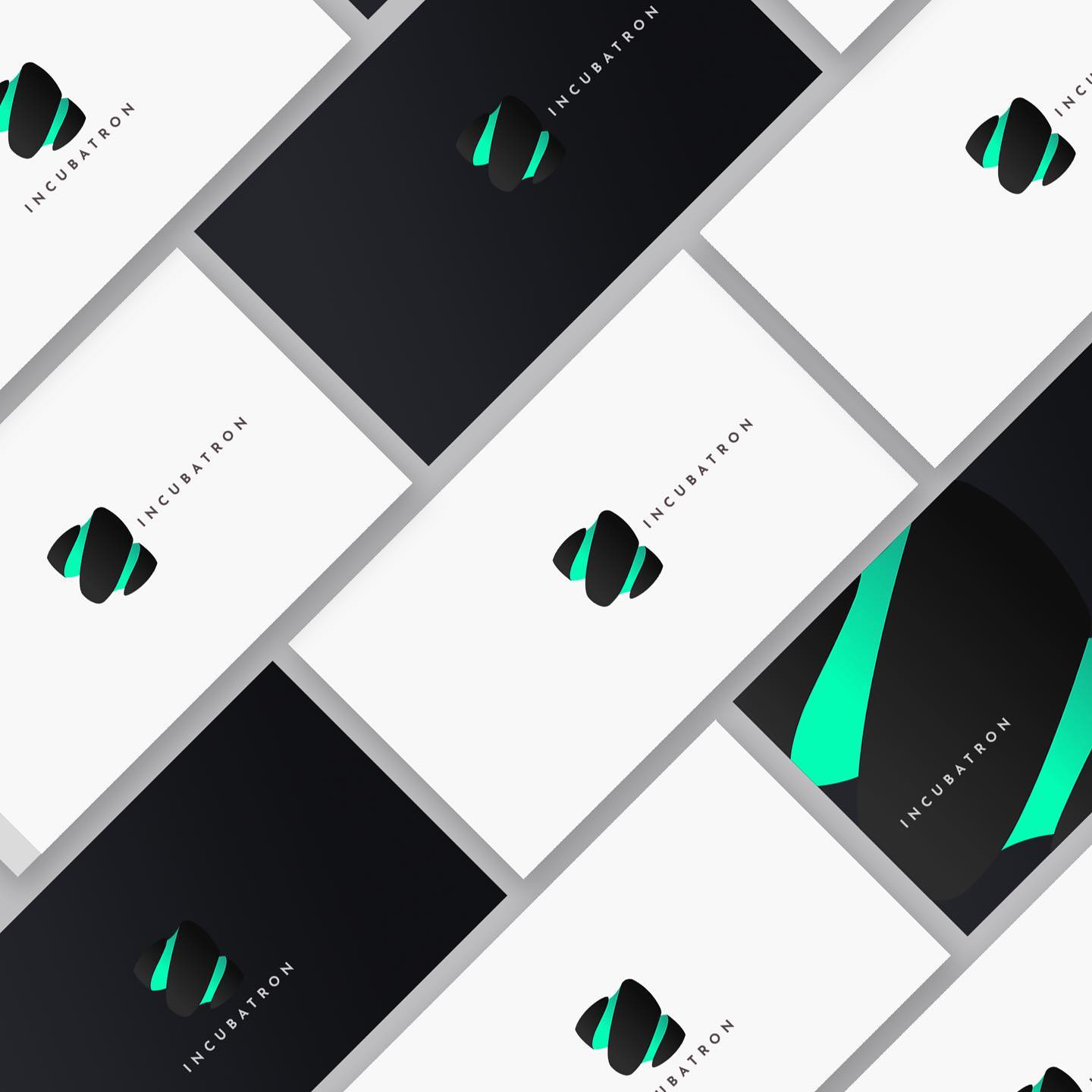 TBI Incubator — Submission 2